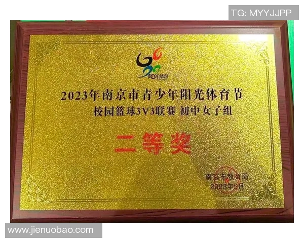南京篮球队在全运会中的灵活性表现分析与点评