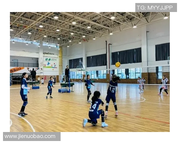 赛后分析：杭州排球队与成都排球队的战术意识与表现对比