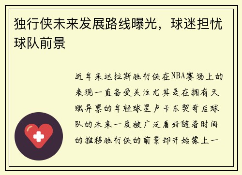 独行侠未来发展路线曝光，球迷担忧球队前景